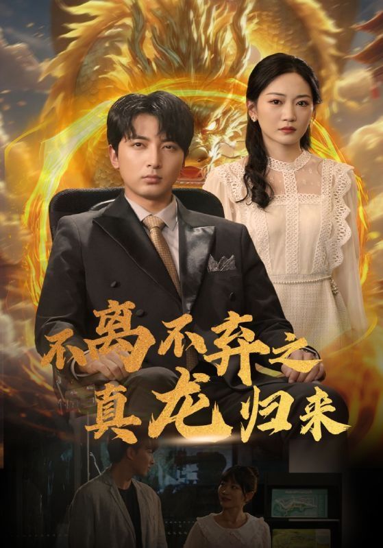 不离不弃之真龙归来 第41-60集