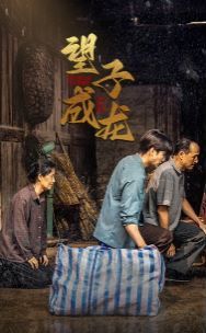 新望子成龙 第41-60集
