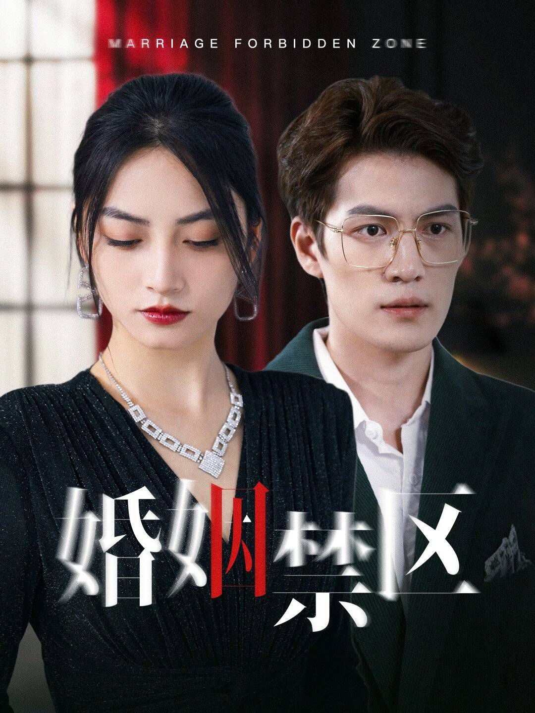 婚姻禁区 第21-40集