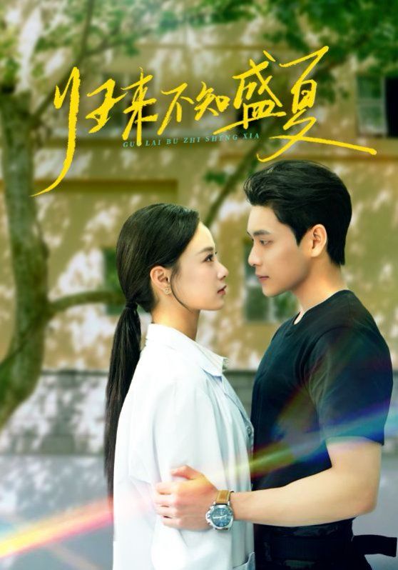 归来不知盛夏 全集完结(大结局)