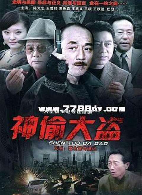 神偷大盗 第5集