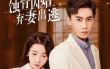 蚀骨囚婚，弃妻出逃 第41-60集