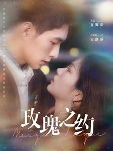 玫瑰之约 第21-40集