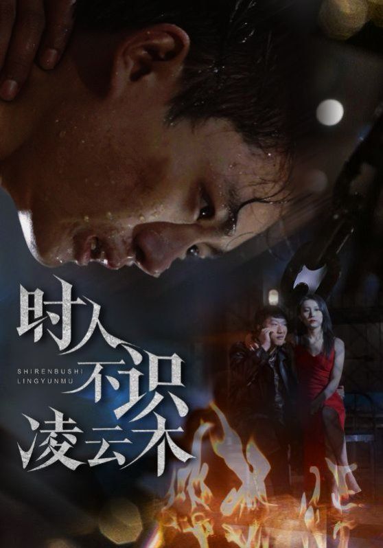 时人不识凌云木 第1-20集