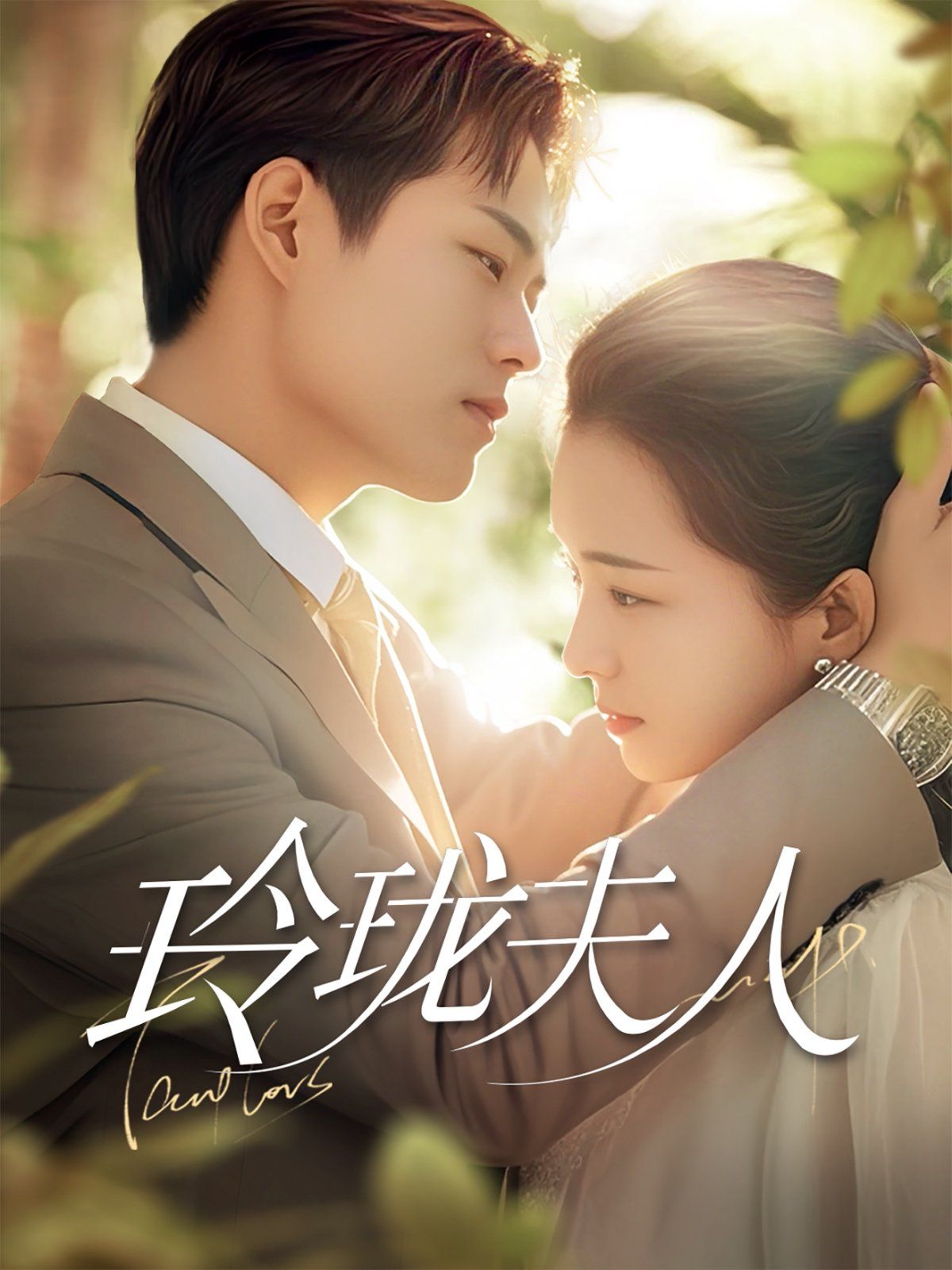 玲珑夫人 第41-60集