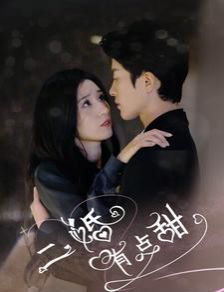 二婚有点甜 第41-60集