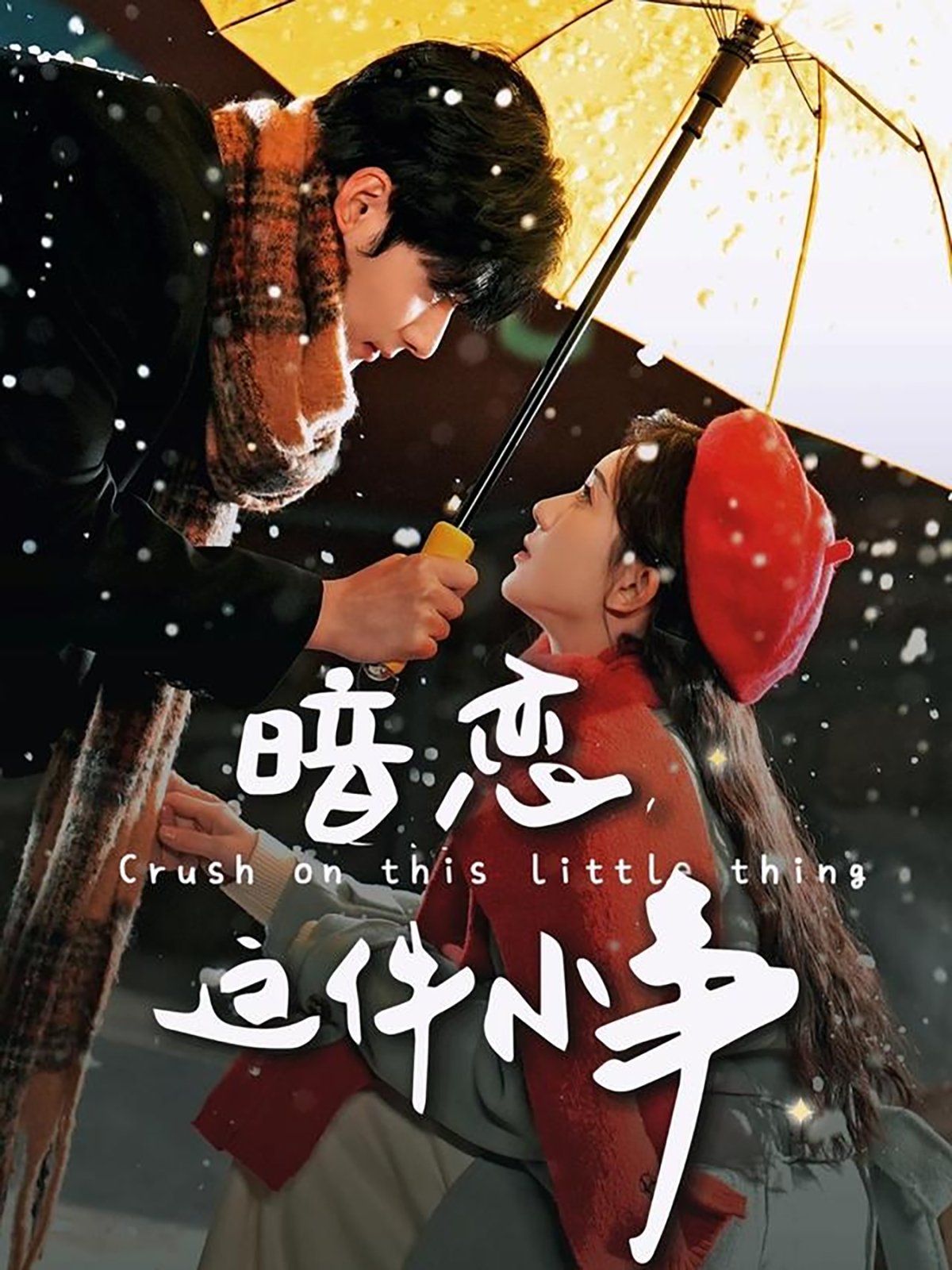 暗恋这件小事 第21集