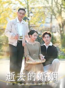逝去的婚姻 第21-40集