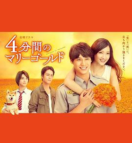 四分钟的金盏菊 第01集