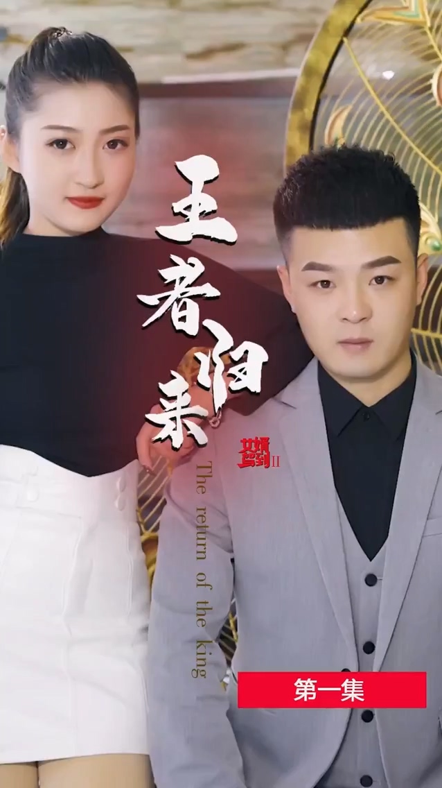 女婿驾到2王者归来 第12集
