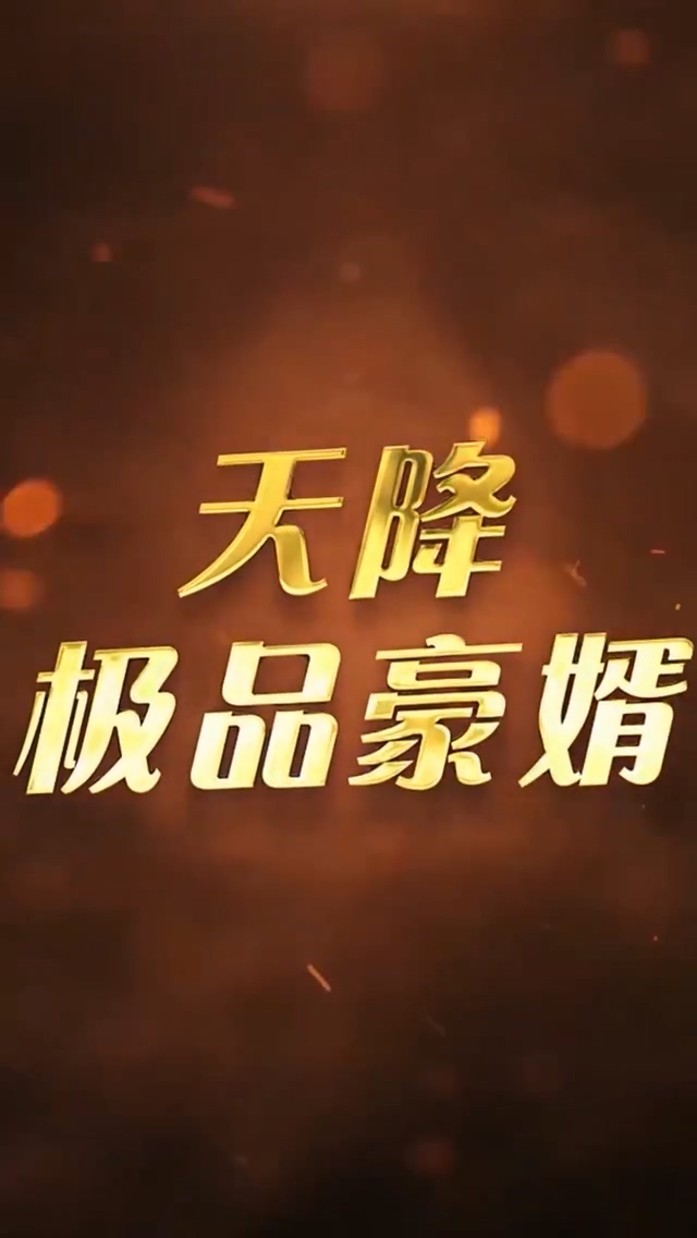 天降极品豪婿 第16集