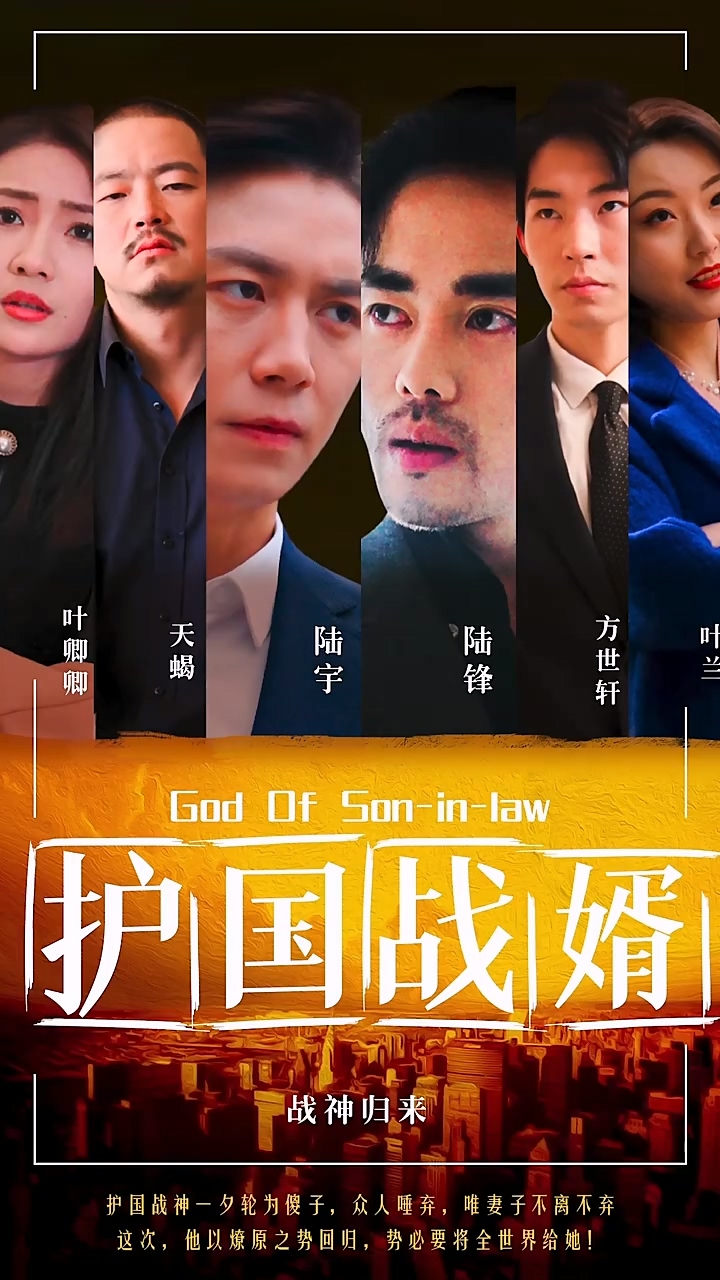 护国战婿 第91集