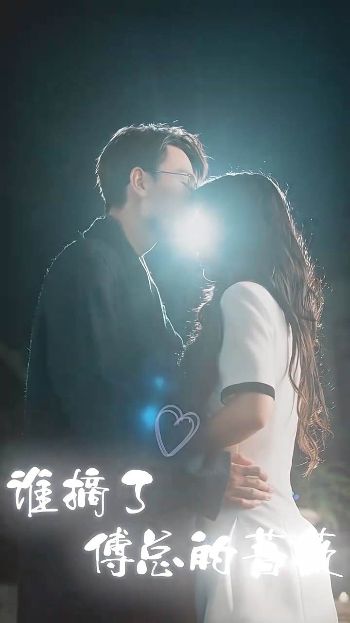 谁摘了傅总的蔷薇 第02集