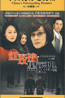 红玫瑰黑玫瑰 第12集