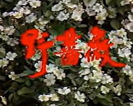 野蔷薇 第06集