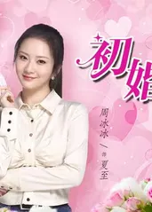 初婚有刺 第03集