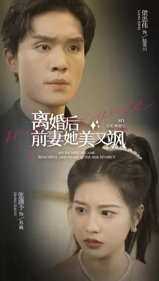 离婚后前妻她美又飒 第12集