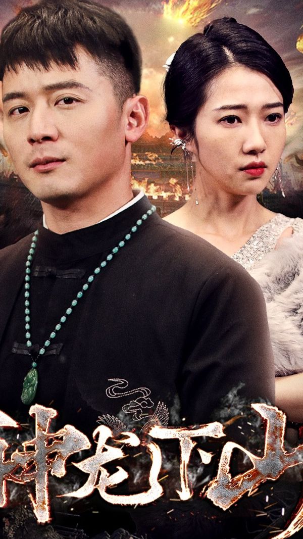 神龙下山 第13集