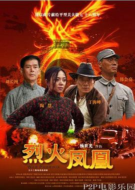 烈火凤凰 第31集