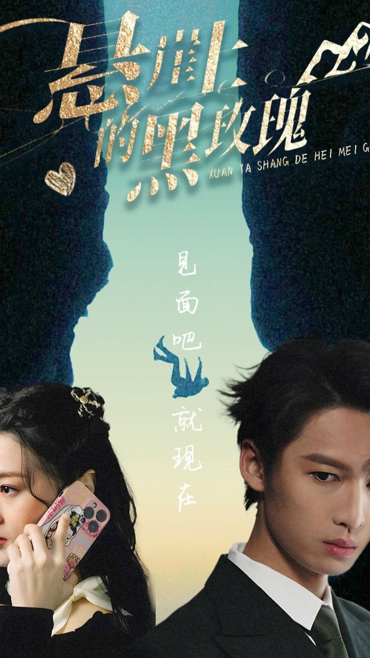 悬崖上的黑玫瑰 第22集