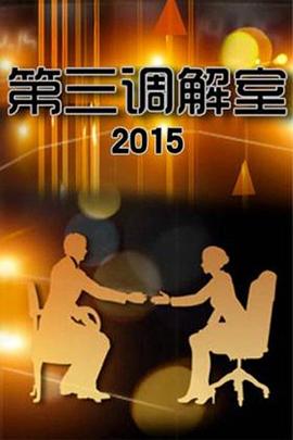 第三调解室 20241228