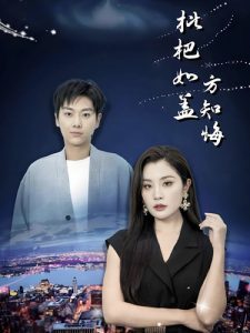 枇杷如盖方知悔 第13集