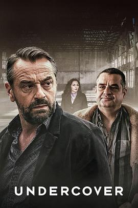 卧底第二季(全集)